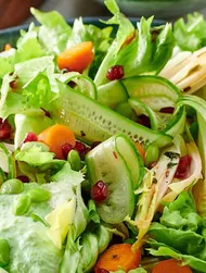 Endivesallad och cikoriasallad med Ponzu granatäppeldressing